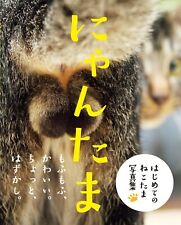 Nyantama Cat Testicles Animal Photo Book album nekotama Japan Brand New picture
