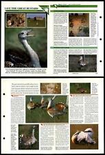 Save The Great Bustard #79 Conservation Wildlife Fact File Fold-Out Card picture