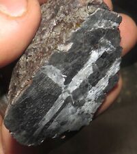 CAMPO DEL CIELO ETCHED  METEORITE END PIECE 260 GMS  STAND .6 LBS; picture