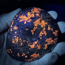Fluorescent Sodalite in Syenite Rock | UV Light Glow Rocks Yooperlite picture