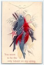 c1910's Catches Fishes Lobster Starfish Airbrushed Embossed Antique Postcard picture