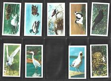 1954 BROOKE BOND  BRITISH BIRDS CREAM BACK - COMPLETE YOUR SET SELECT A CARD picture
