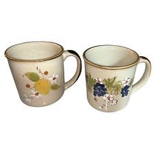 2 Vintage Norleans Fruit/Flowers Coffee Mugs Brown/Tan Boho Retro picture