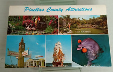 Vintage Postcard Lot Pinellas County Attractions Photographs picture