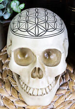 Gothic Sacred Geometry Flower Of Life Creation Cosmic Energy Skull Figurine picture
