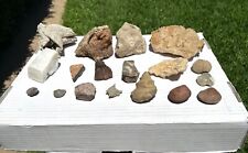 BIG Fossil and Mineral Collection Lot Brachiopods Dinosaur Bones Crystals etc picture