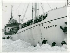 Members of the Trans-Antarctic Expedition crew... - Vintage Photograph 1306576 picture