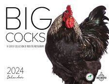 Big Cocks 2024 Rooster Funny Calendar picture