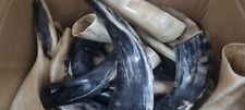 Brand New Polished Ram Horn Shofar With Wide Bend And Natural Colors 10
