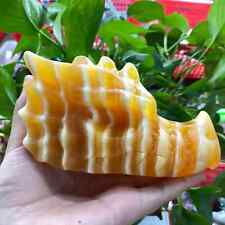 1pc Natural Crystal yellow calcite hand carved dragon skull Healing Gift Decor picture