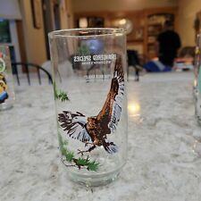 Vintage 1978 Burger Chef Endangered Species Collection THE BALD EAGLE Glass picture