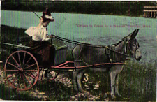 Postcard Driven to Drink by a Woman Cadillac Michigan picture