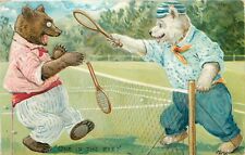 Postcard 1907 Tuck Little Bears Dressed animals Tennis comic Humor TP24-2037 picture