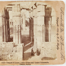 Egyptian Temple Luxor Pillars Stereoview c1899 Egypt Luxor Thebes Colonnade C738 picture
