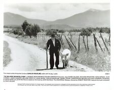 The Milagro Beanfield War 1987 Movie Photo 8x10 Carlos Riquelme  *P63a picture