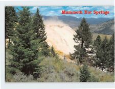 Postcard Mammoth Hot Springs, Yellowstone National Park, Wyoming picture