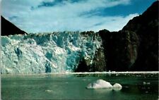 Juneau, Alaska The Birthplace Of Icebergs Postcard Sawyer Glacier picture