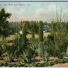 c1900s Los Angeles, CA West Lake Park Cactus Bed Litho Photo Postcard Cali A196 picture