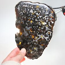 160g Beautiful SERICHO pallasite Meteorite slice - from Kenya C7617 picture