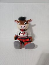 Sports Plush/Beanie, Stormy the Pig Carolina Hurricanes  picture