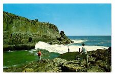 The Cliff House Ogunquit, Maine (Bald Head-House Shore) 1950s Postcard Un-posted picture