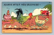 Vintage Postcard  Always After New Business Rooster Hen Chickens picture