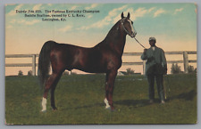 Dandy Jim 1531. Famous Kentucky Champion Owner C.E. Kerr Lexington KY Postcard picture