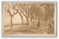 c1920's Cairo Egypt, The Road To The Pyramids RPPC Photo Vintage Postcard picture