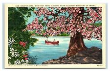 Postcard Mountain lake 4,500 ft above Sea-Level in Alleghany Mts VA W43 picture