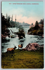 Vintage Postcard WA Olympia Upper Tumwater Falls Deer Divided Back picture