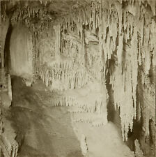 Rare N A Forsyth Stereoview of The Altar in Morrison Cave, Montana @1907 MHS#469 picture