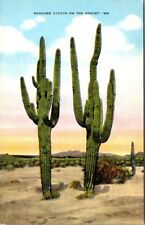 Saguaro Sahuaro Cactus Painted Desert Arizona State Flower Linen Kropp Postcard  picture