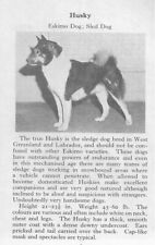 Siberian Husky - CUSTOM MATTED - 1970 Vintage Dog Art Photo Print - GIFT picture