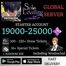 Solo Leveling Arise Global Server 19000-25000 ES/100+/16+ tickets Reroll Account picture