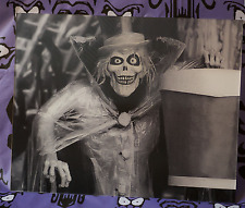 Vintage 1969 HBG Hatbox Ghost changing picture Haunted Mansion Disneyland attic  picture