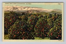 CA- California, Orange Grove, Snow Clad Mountains, , Vintage Postcard picture