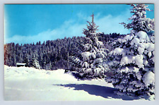 Vintage Postcard Newfound Gap Gatlinburg Tennessee Great Smoky Mountains picture