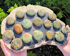 Rhyolite Palm Stone MEDIUM (Polished Worry Stone, Rainforest Jasper Palm Stone) picture