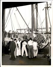 GA131 1953 Original Photo LINE EMPLOYEES HELP UNLOAD SHIP American Exports NY picture