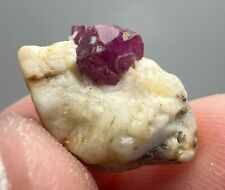 8.50 CT. Rare Natural Full Terminated Red Ruby Crystal on Matrix with Mica @AFG picture