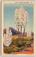Yucca Flower Desert Vegetation Mountains Southwest Linen Vintage UNP Postcard picture