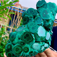 5.89LB Natural glossy Malachite transparent cluster rough mineral sample picture