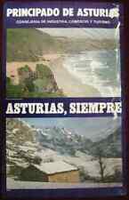 1983 Original Poster Spain Asturias Tranquero Amieva picture