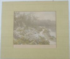 Antique Original David Davidson Rhododendron Lane Hand Colored Photo Listed picture