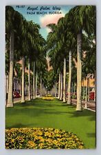 Palm Beach FL-Florida, Royal Palm Way, Vintage c1960 Souvenir Postcard picture
