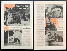 “Soup’s On at the Brookfield Zoo” 1943 pictorial  Panda/Mei-Lan ~ Rhino/Karonga picture