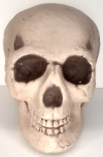 Halloween Skull Human Skeleton Prop Gray Foam Vintage Spooky Decor picture