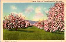 Vintage C. 1940's Beautiful Apple Blossom Flower Trees Shenandoah VA Postcard picture