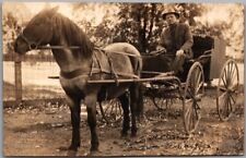 Vintage 1910s Animal Real Photo RPPC Postcard Older Man Driving Horse Cart picture