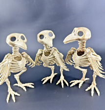 VTG Halloween SKELETON  BIRD Raven CROW buzzard bone THREE 3 LOT CREEPY 7.5